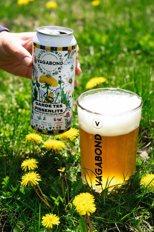 Canette et verre de bière Vagabond Garde tes Pissenlits – Cream Ale au miel dégustée dans un champ de pissenlits, bière artisanale engagée pour la protection des abeilles avec Melifera.
