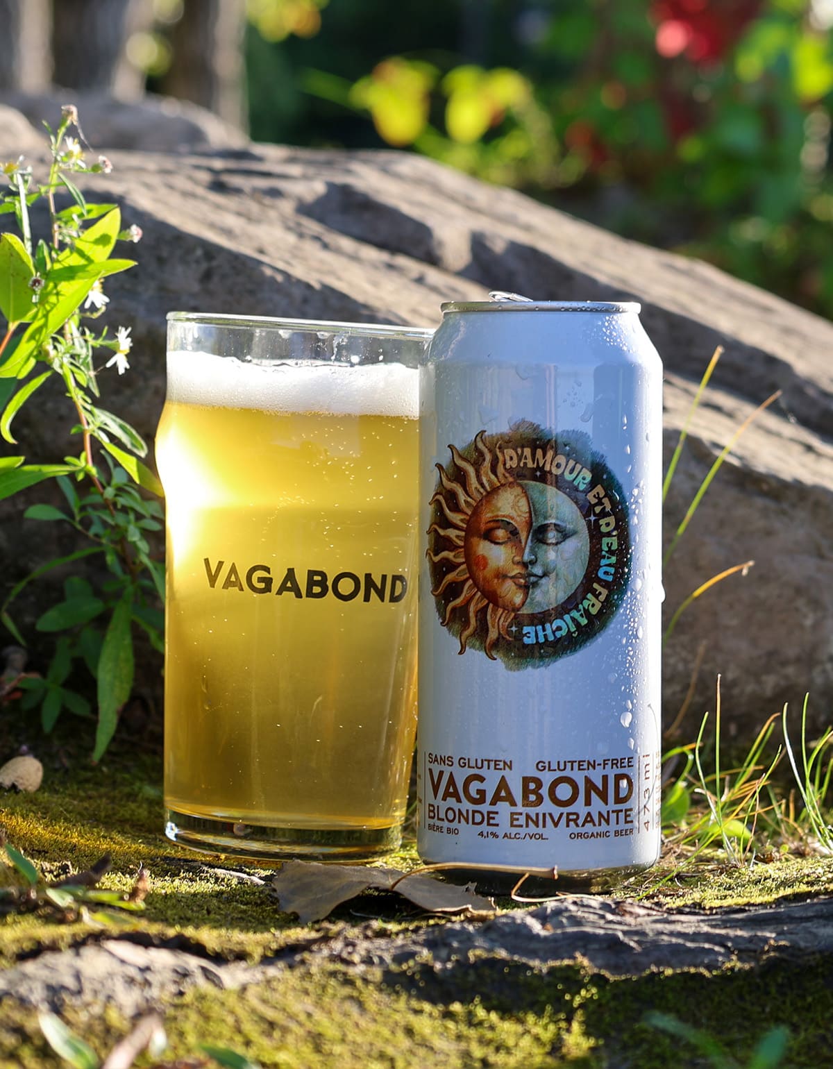 Bière sans gluten Vagabond D’Amour et d’Eau Fraîche servie dans un verre au soleil. Blonde bio du Québec