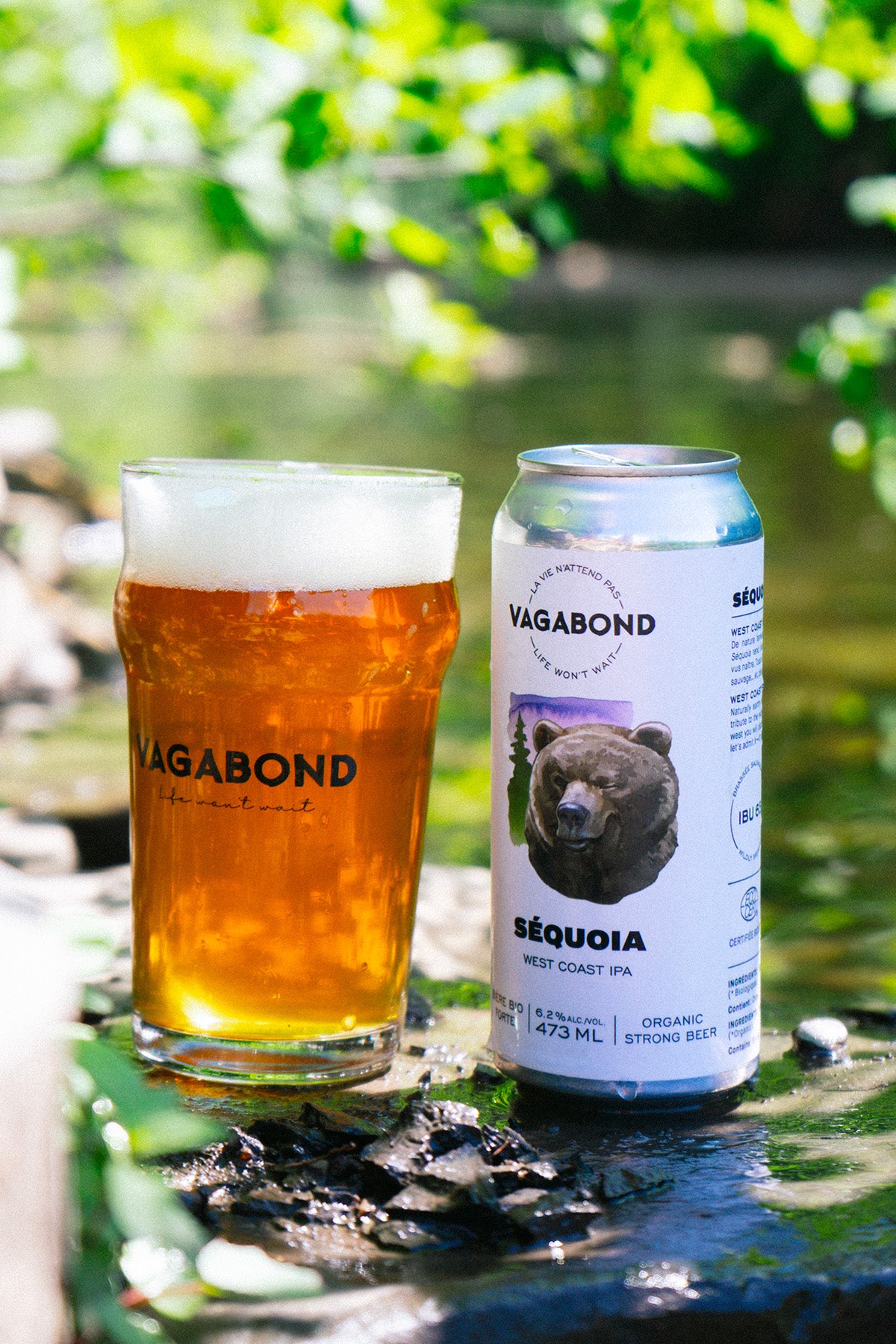Canette et verre de bière Vagabond Séquoia – West Coast IPA bio forte 6.2%, bière ambrée dégustée en nature près d’une rivière, microbrasserie du Québec.