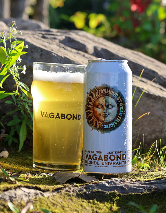 Bière sans gluten Vagabond D’Amour et d’Eau Fraîche servie dans un verre au soleil.  Blonde bio du Québec