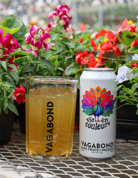 VIE EN COULEURS - BIÈRE VAGABOND